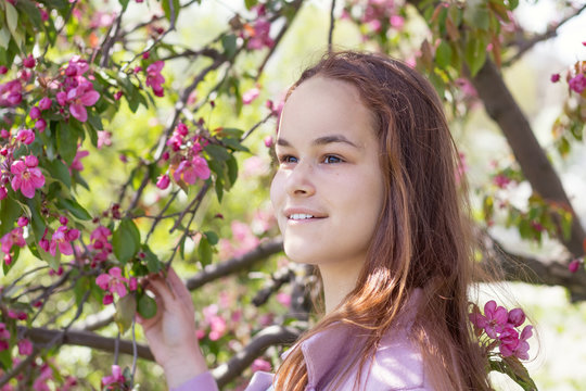 Cute young girl in an apple orchard