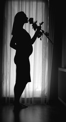 Silhouette of a pregnant woman with a round belly holding a rose flower. Third semester. A love inside.
