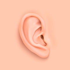 Vector background with realistic human ear closeup. Design template of body part, human organ for web, app, posters, infographics etc