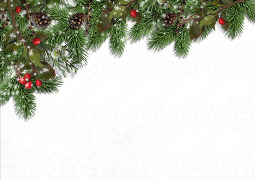Christmas background with border of firtree and holly on white