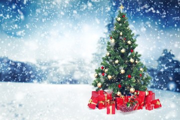 Christmas concept.