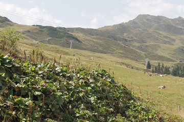 view of alpine mountains in northern Italy