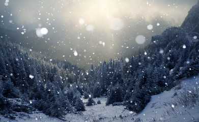 Trees covered with hoarfrost and snow in winter mountains - Christmas snowy backgroundic holiday background