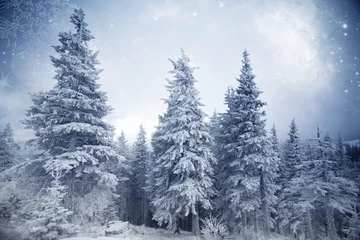 Trees covered with hoarfrost and snow in winter mountains - Christmas snowy backgroundic holiday background