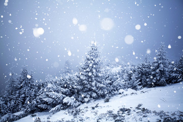 Trees covered with hoarfrost and snow in winter mountains - Christmas snowy backgroundic holiday background