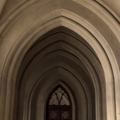 techos góticos en la catedral