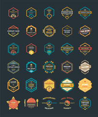 Set of Colorful Vintage Hipster Logo Design Template Vector