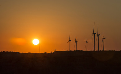 Obraz premium Wind turbines in sillhouette on a sunset horizon