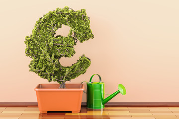 Euro green symbol in flowerpot with watering can. 3D rendering