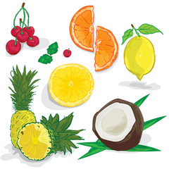 fruit orange lemon coconut cherry pineapple drawing objects