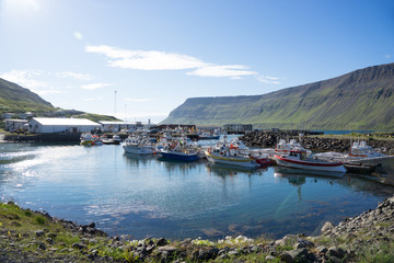 Fototapeta na wymiar Hafen-/ Küsten-Landschaft in den Westfjorden, Island