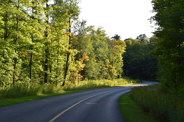 Fototapeta premium road