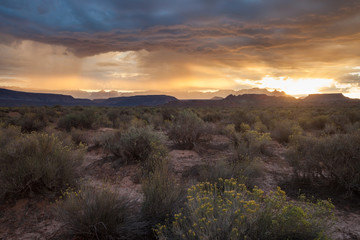 Sunrise on the Hurricane Cliffs trail system in Southern Utah with West Temple of Zion National park silhouetted by the rising sun. 