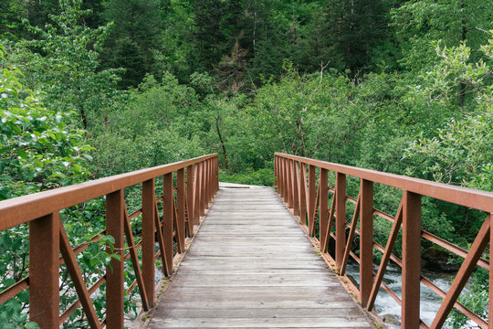 wood and steel bridge in forest