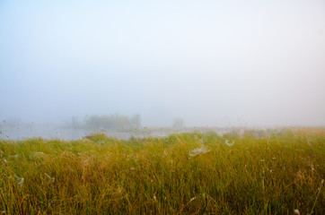 Morning landscape