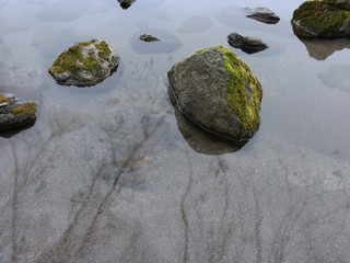 苔の生えた湖畔の石