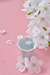 日本酒　桜の花


