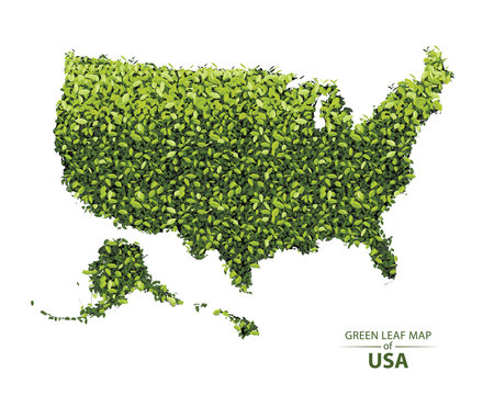 Green leaf map of usa