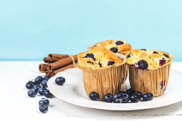Fresh baked Blueberry Muffin