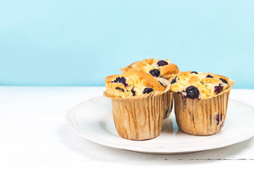 Fresh baked Blueberry Muffin