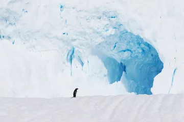 Fotobehang mooie witte ijzige heuvel met pinguïn op Antarctica © zhu difeng