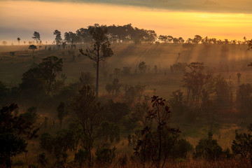 Landscape fog in morning sunrise at Thung Salang Luang National Park Phetchabun,Tung slang luang is...
