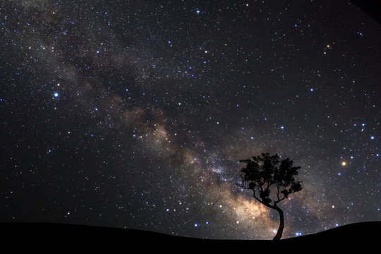 landscape with milky way, Night sky with stars and silhouette of pine tree on high mountain.