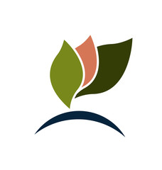 Leafs, group of 3, isolated on white background icon