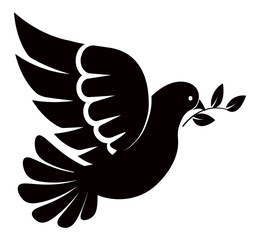 Pigeon or dove, white bird