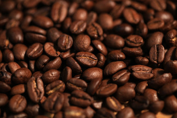 Coffee beans close-up. Black Espresso.