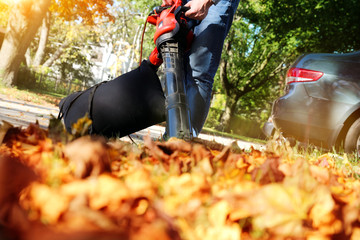 Man working with  leaf blower: the leaves are being swirled up and down on a sunny day