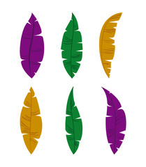 set of colorful feathers on white background vector illustration