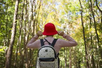 Hipster woman backpacker hiking area in national park Phu Kradueng Loei Thailand.