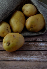 Harvest potatoes in burlap sack on wooden background