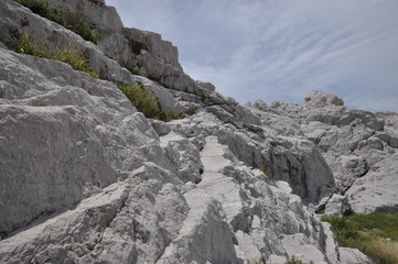 和歌山　白崎海洋公園　日本のエーゲ海　海辺　観光地　観光名所