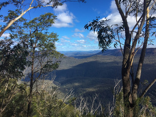 Obraz premium View of the Blue Mountains in Australia