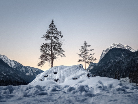 Zwei B&auml;ume auf einem kleinen Steinh&uuml;gel eingeschneit auf zugefrohrenem See