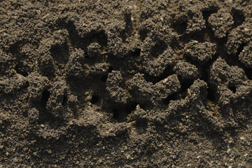 Cracked land texture