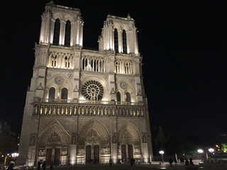 Fototapeta na wymiar Nighttime view of Notre Dame
