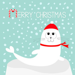 Merry Christmas Candy cane text. White Sea lion. Harp seal pup lying on iceberg ice. Red santa hat, scarf. Cute cartoon character. Baby animal collection. Winter snow flake background. Flat design