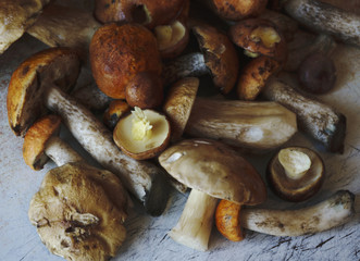 Fresh mushrooms boletus , krasnoholovets , volnushki. in the basket , hardwood table