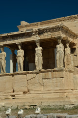 Fototapeta premium parthenon in Athens greece ancient monuments caryatids