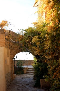 Vo&ucirc;tes e pierres et vignes vierges &agrave; Miramas le vieux