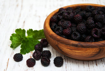 Bowl with Blackberries