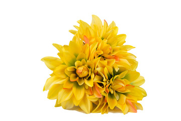 yellow flowers pot 