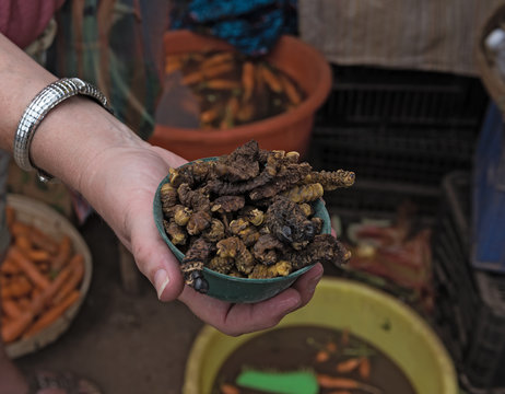 small bowl of roasted mopane caterpillar, Gonimbrasia belina at the market in livingstone, zambia