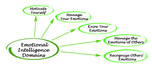 Emotional Intelligence Domains