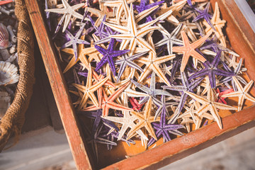 Many star fish for decoraion/souvenir
