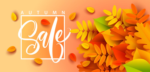 Autumn banner background with fall leaves. Vector illustration