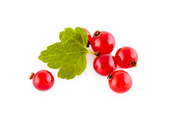 Red currants on white